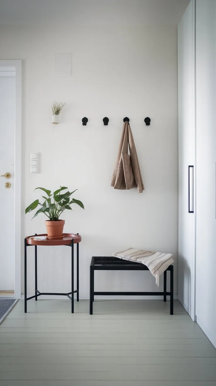 Clean lines and a potted plant create a peaceful atmosphere in this minimalist apartment entryway.