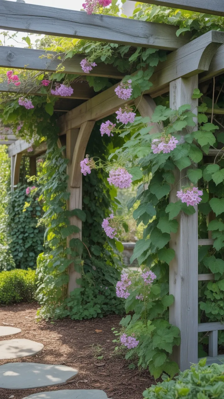 Sunlit Rustic Pergola Draped in Cascading Pink and Purple Blooms