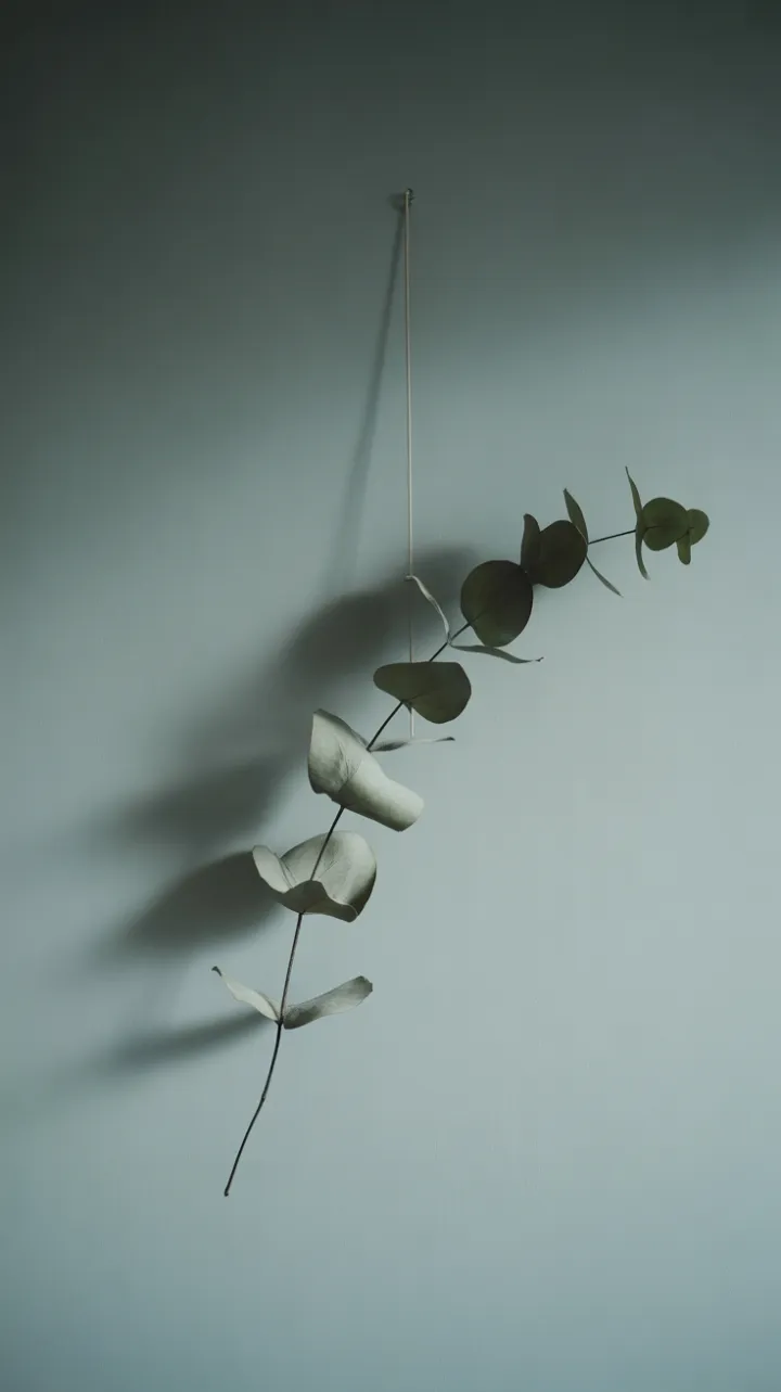 Scandinavian Eucalyptus Reverie